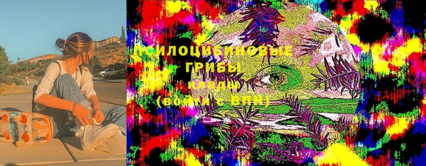 альфа пвп Няндома
