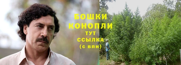 гидра Нягань