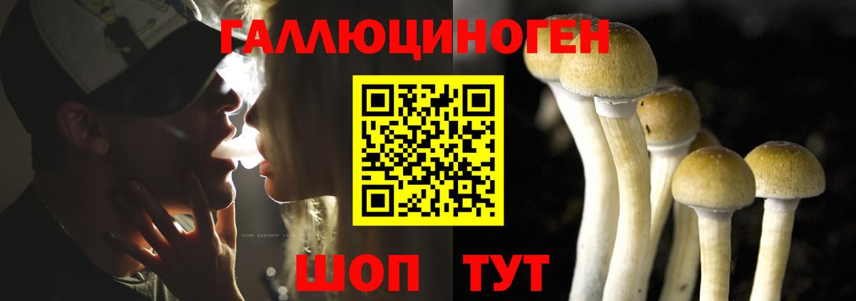 Галлюциногенные грибы мухоморы  Вход с VPN  Серов 